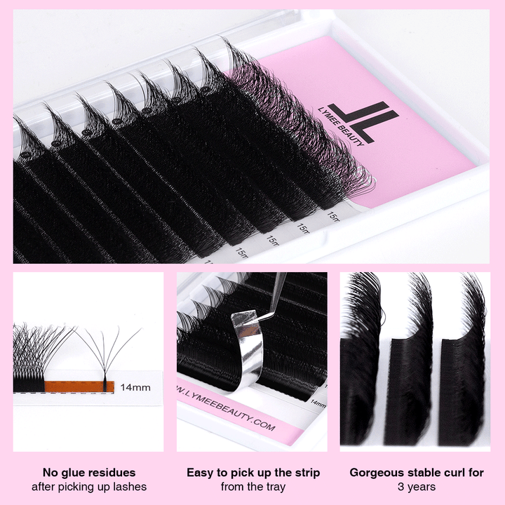 5D W-Shape Premade Volume Fan Lash Extensions - LymeeBeauty