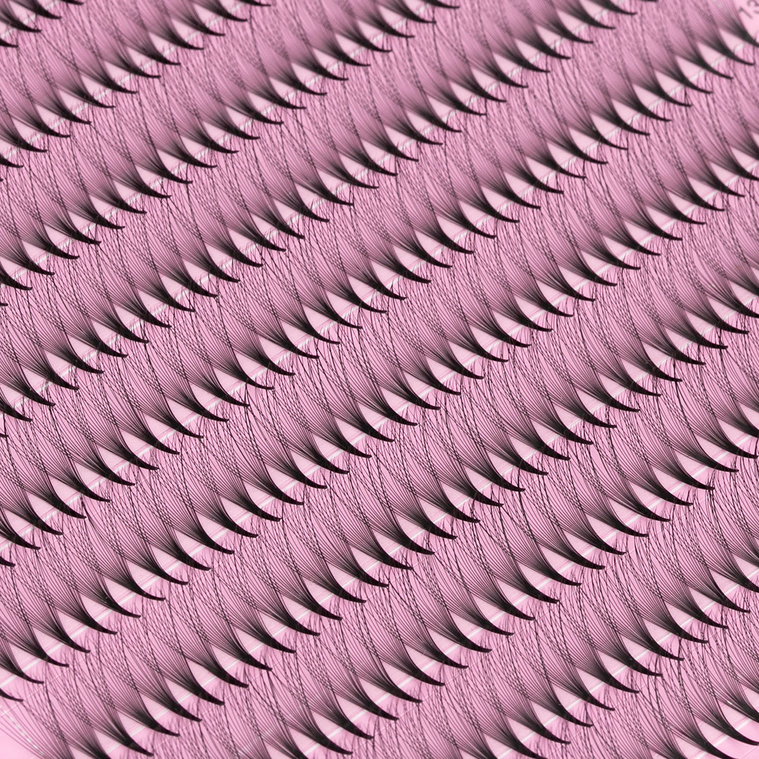 16D Promade Narrow Fans - 1000 Fans - Lymeebeauty