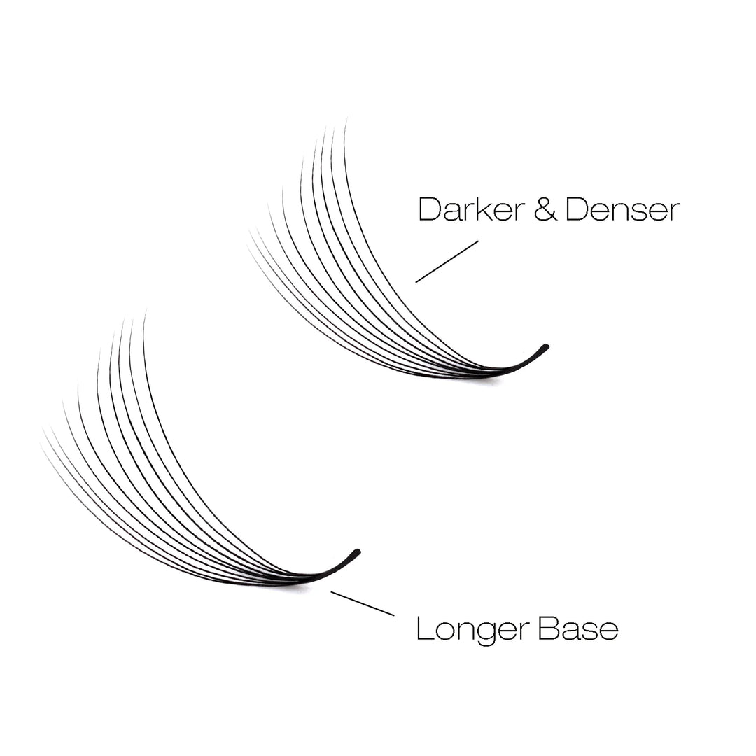 16D  Promade Narrow  Fans - 1000 Fans 25 Rows-lymeebeauty