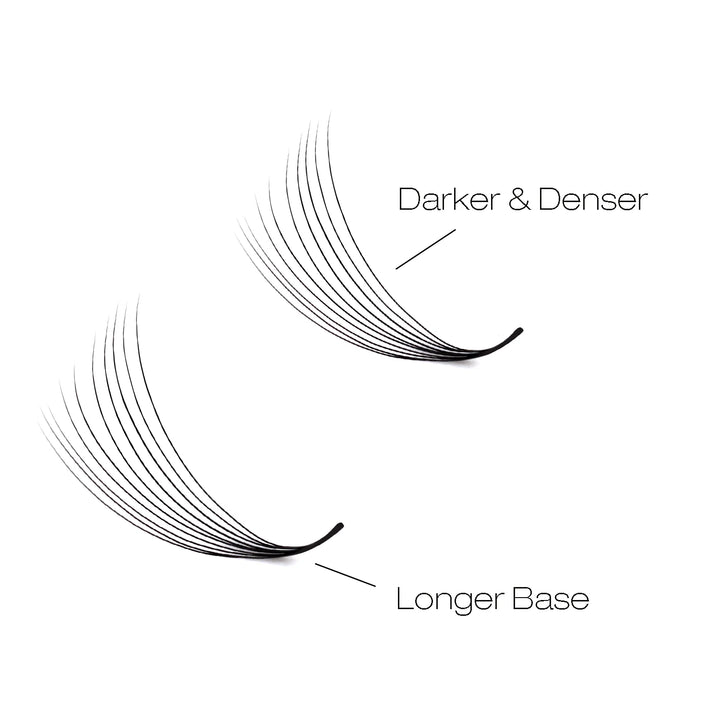 16D  Promade Narrow  Fans - 1000 Fans 25 Rows-lymeebeauty