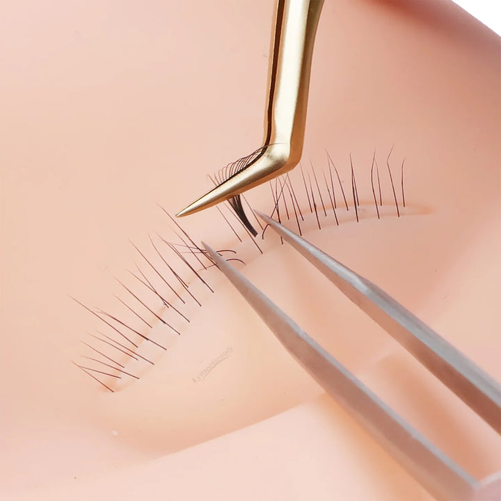 Mannequin Heads With Lash - LymeeBeauty