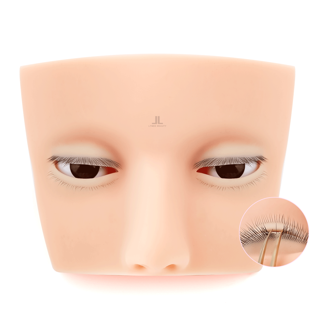 Simulated Lash Mannequin Heads-LymeeBeauty