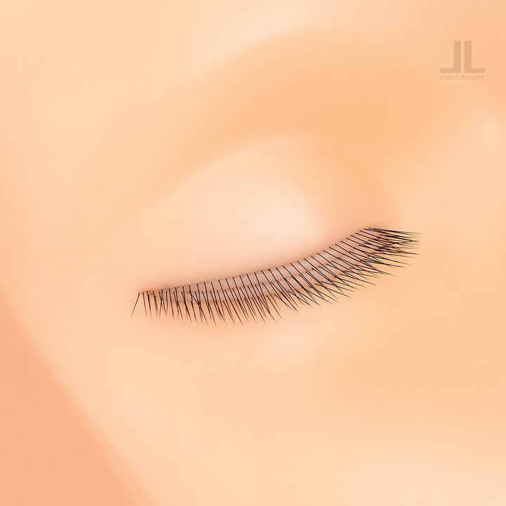 Mini Mannequin Head With Three Layer Lashes - LymeeBeauty