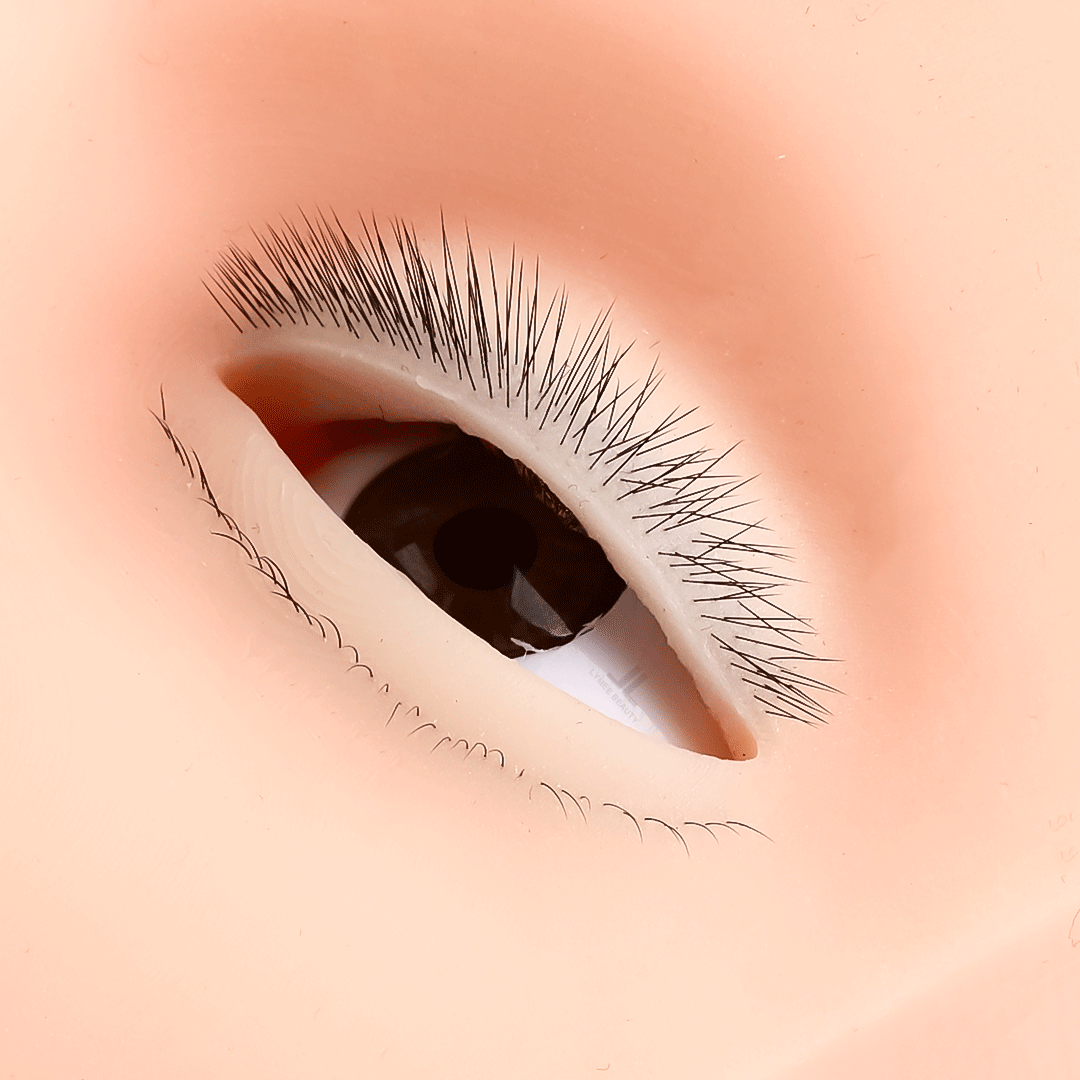 Simulated Lash Mannequin Heads-LymeeBeauty