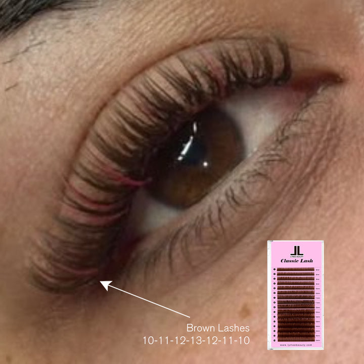 Dark Brown Premium Colored Volume Eyelash Extensions 16 Rows - Lymeebeauty