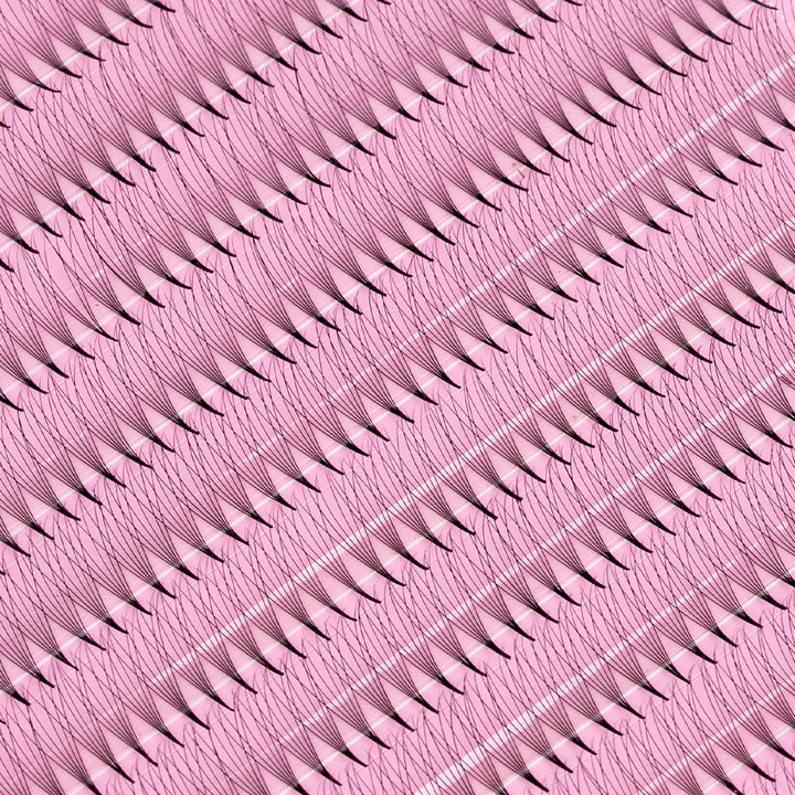 6D Promade Narrow Fans - 1000 Fans - Lymeebeauty